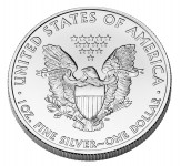American Eagle Silver Rückseite